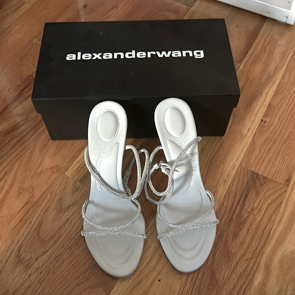 Alexander Wang Dahlia 105 Crystal Sandal